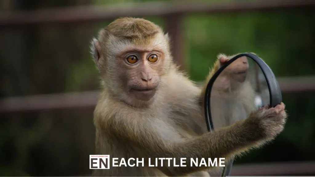 Famous Monkey Names