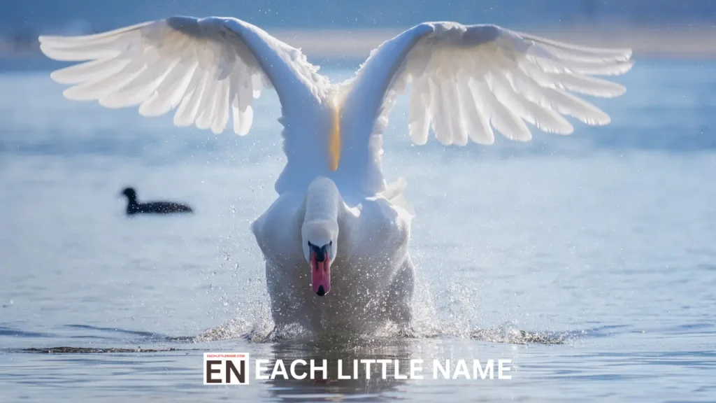 Famous Swan Names