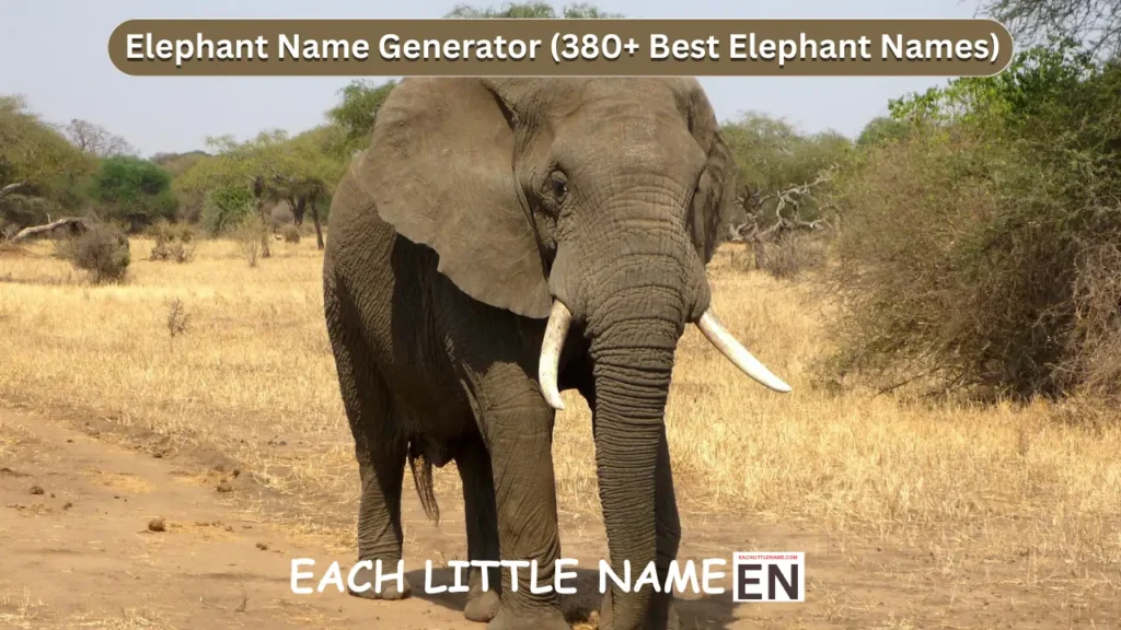 Elephant Names 