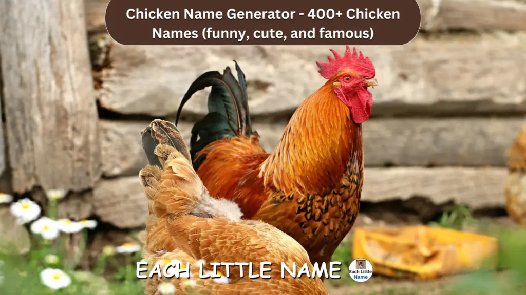 Chicken Names