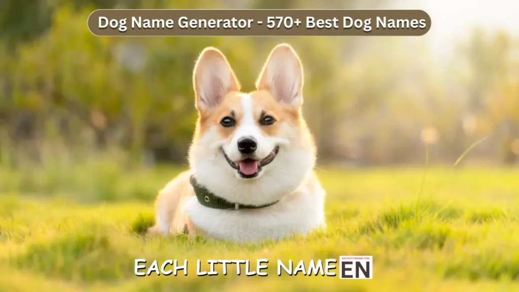 Dog Names