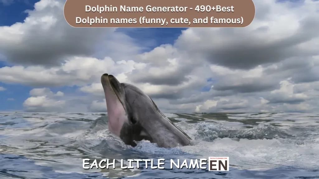 Dolphin Names