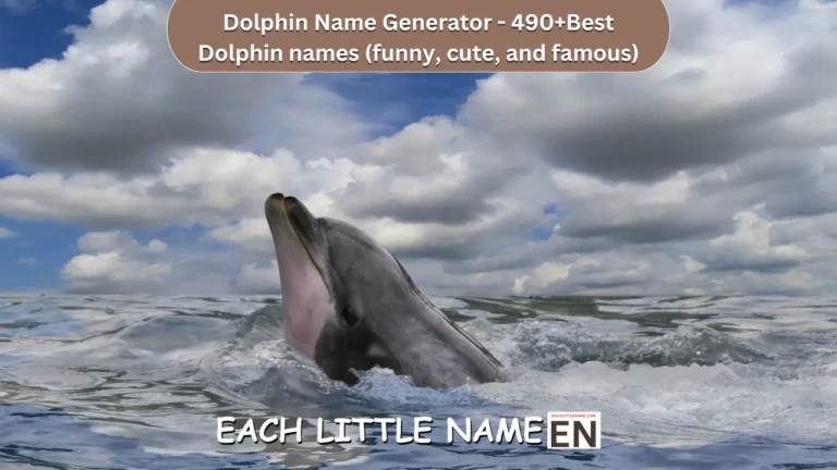 Dolphin Name Generator – 490+Best Dolphin names 