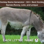 Donkey Names