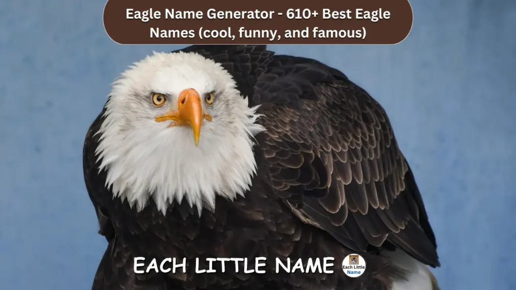 eagle names