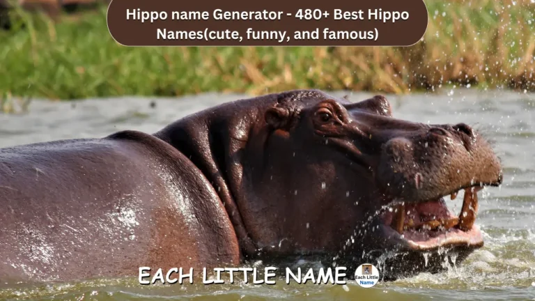 470+ Cute Hippo Names (+Hippo Name Generator)