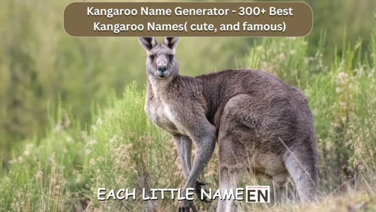 300+ Creative Kangaroo Names (Funny, Unique, and Cool)