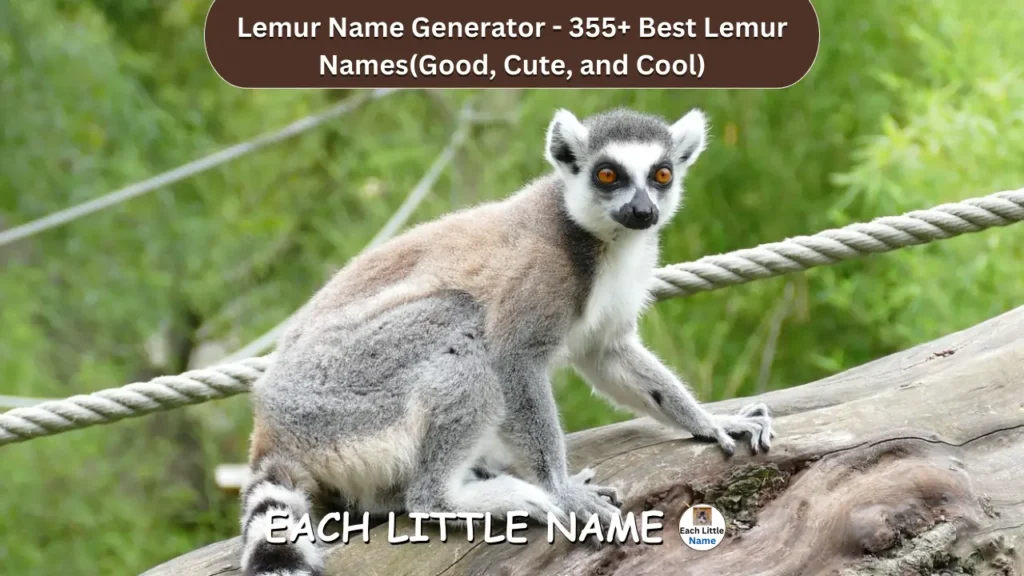 Lemur Names