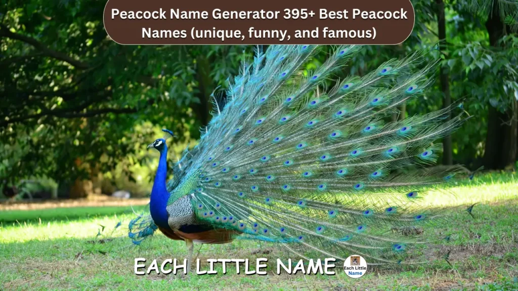 Peacock Names