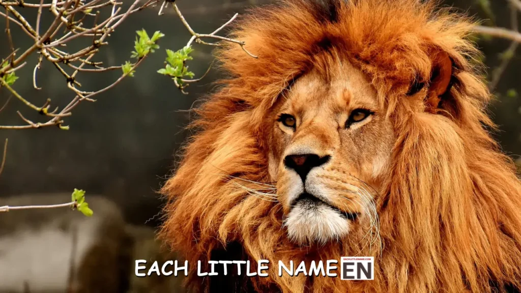 Powerful Lion Names