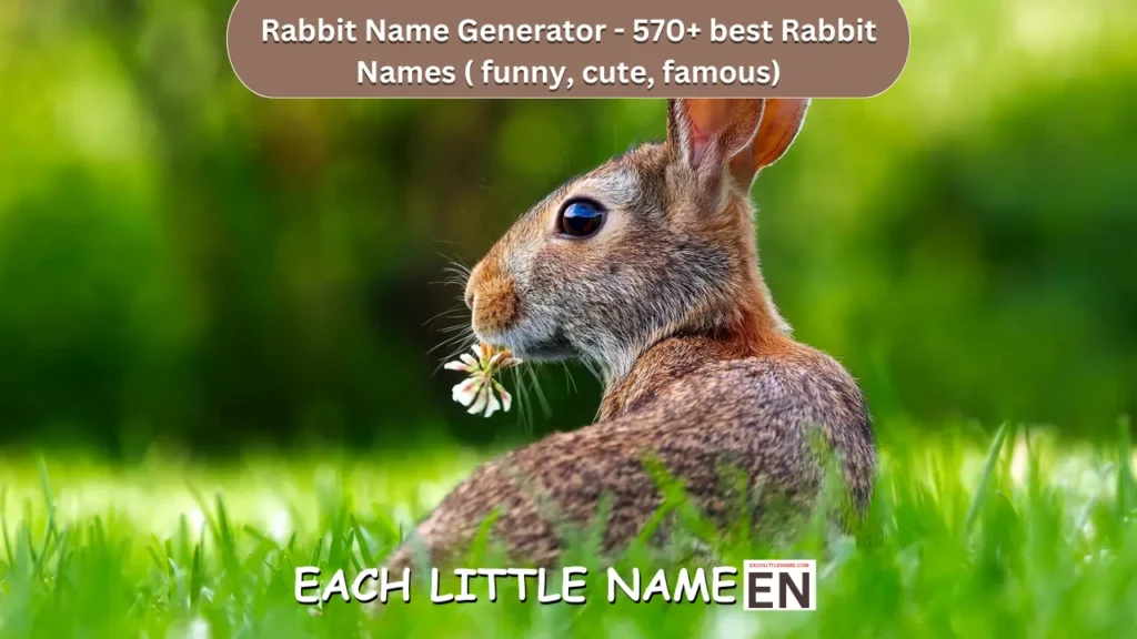 Rabbit Names