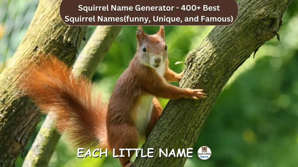 Squirrel Names