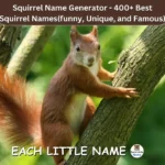 Squirrel Names