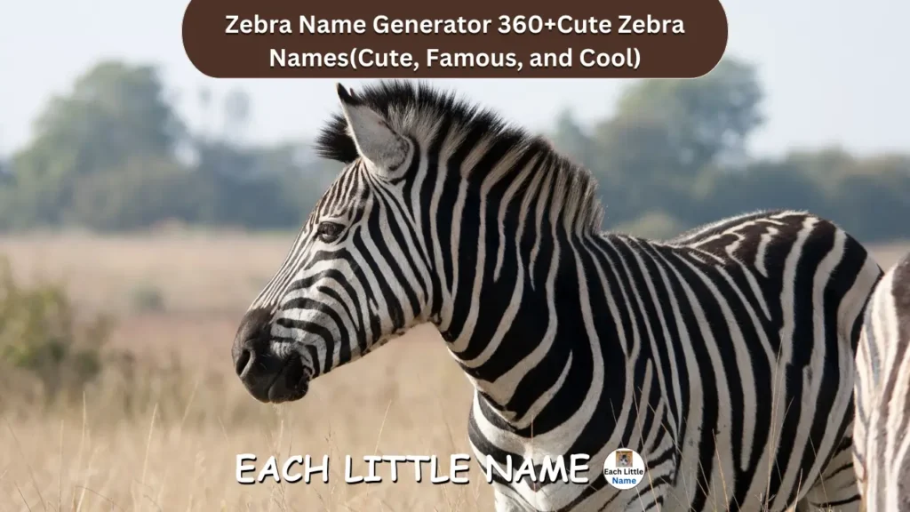 Zebra Names