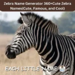 Zebra Names