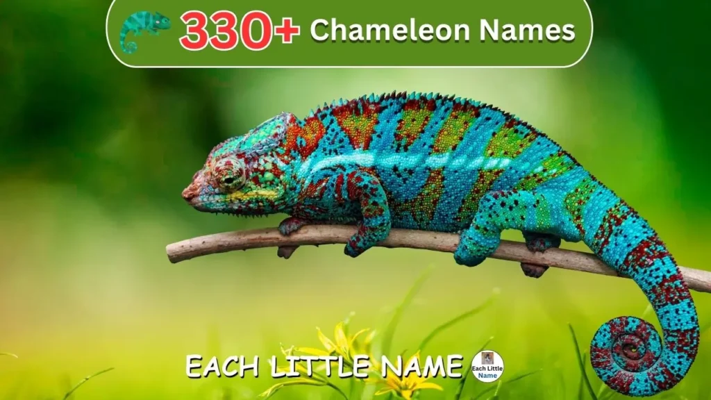 Unique Chameleon names