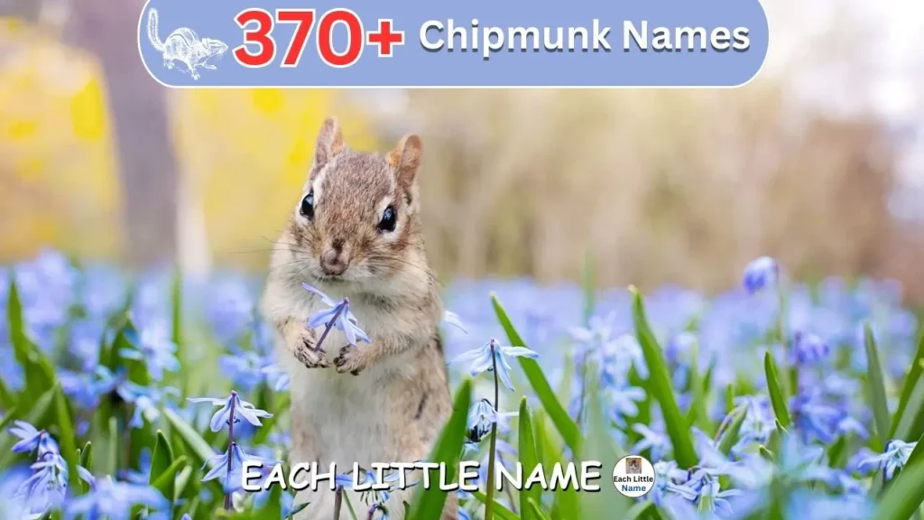 Chipmunk names