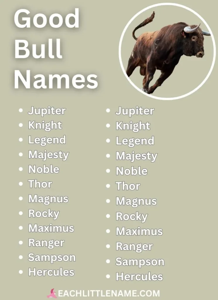 Good Bull Names