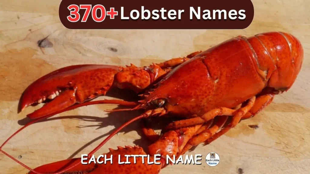 Lobster Names