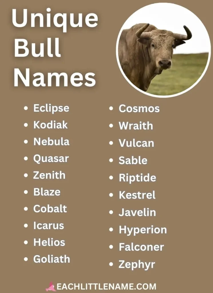 Unique Bull Names