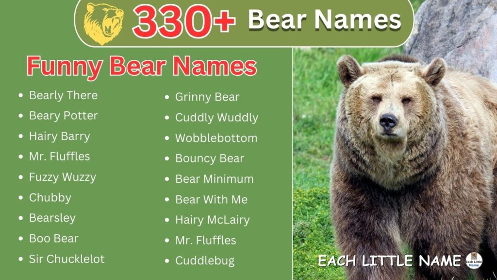 Bear Names