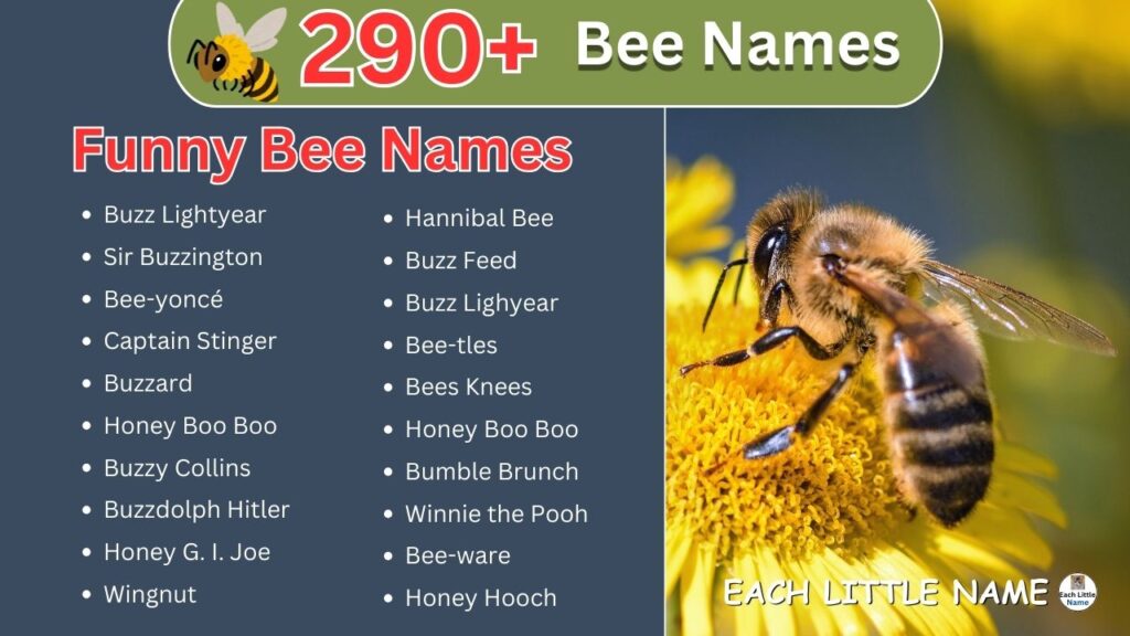 Bee Names