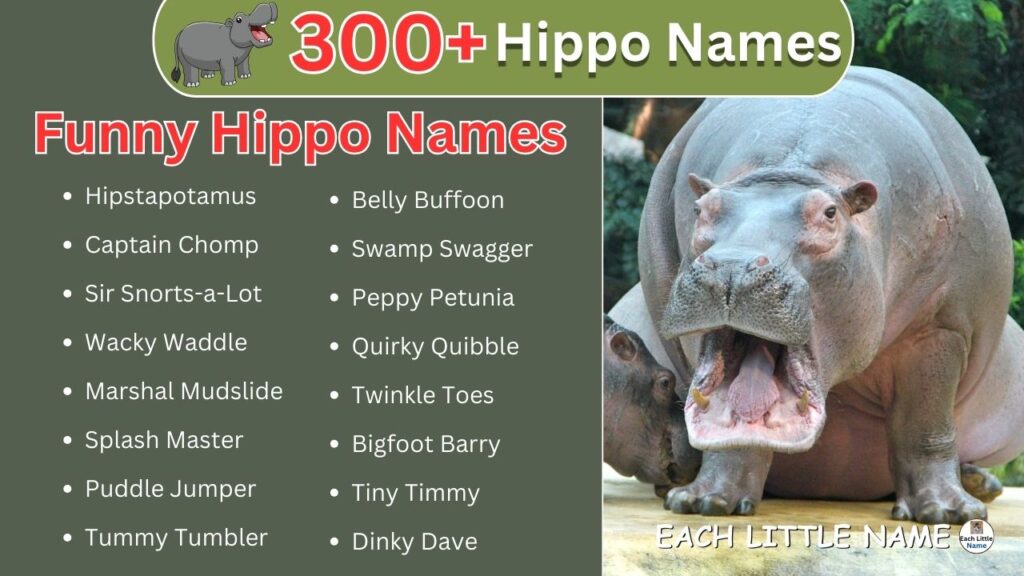 Hippo Names