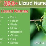 Lizard Names