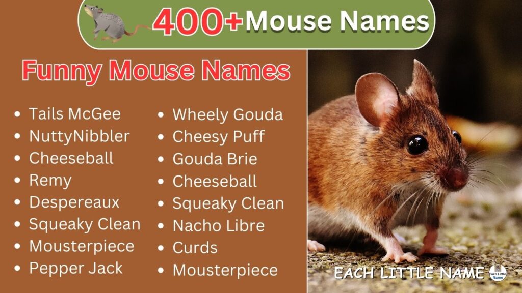 Mouse Names