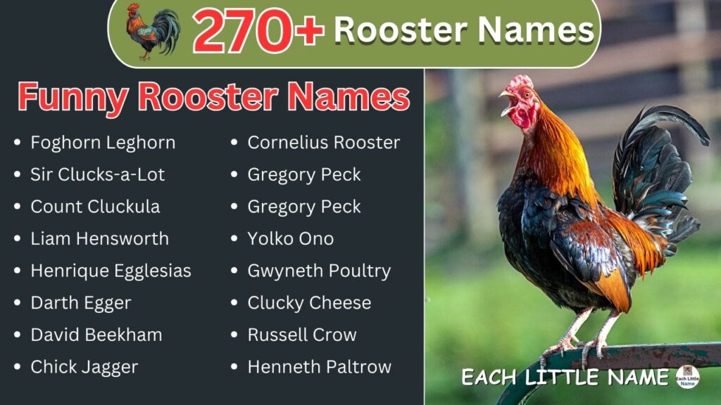 Rooster Names