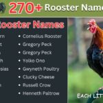 Rooster Names