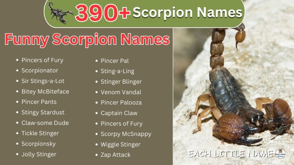 Scorpion Names