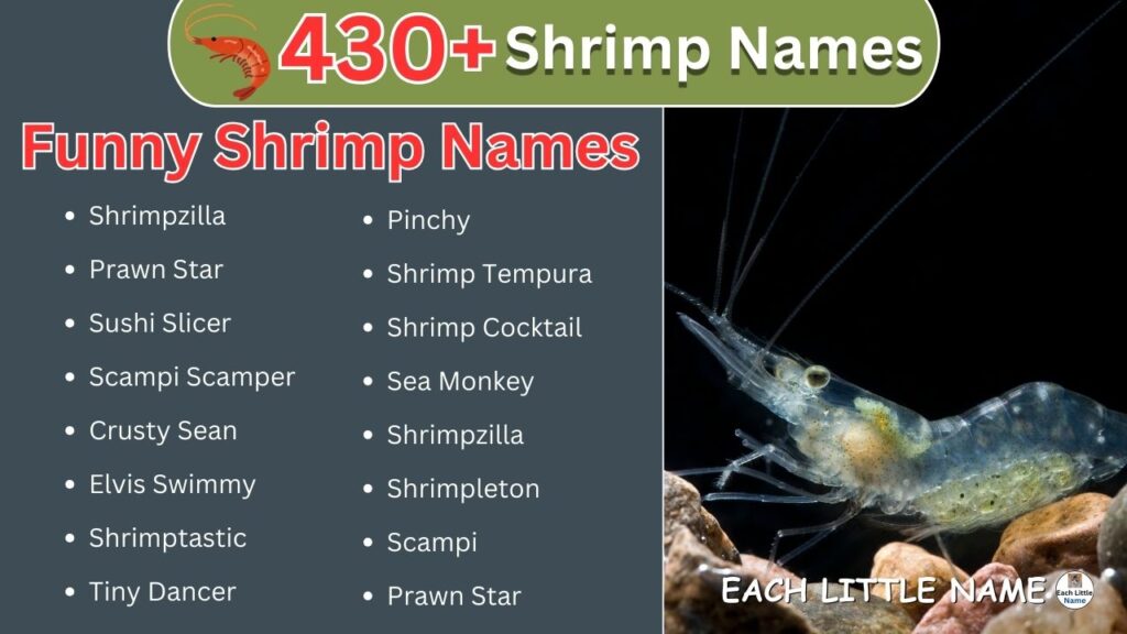 Shrimp Names