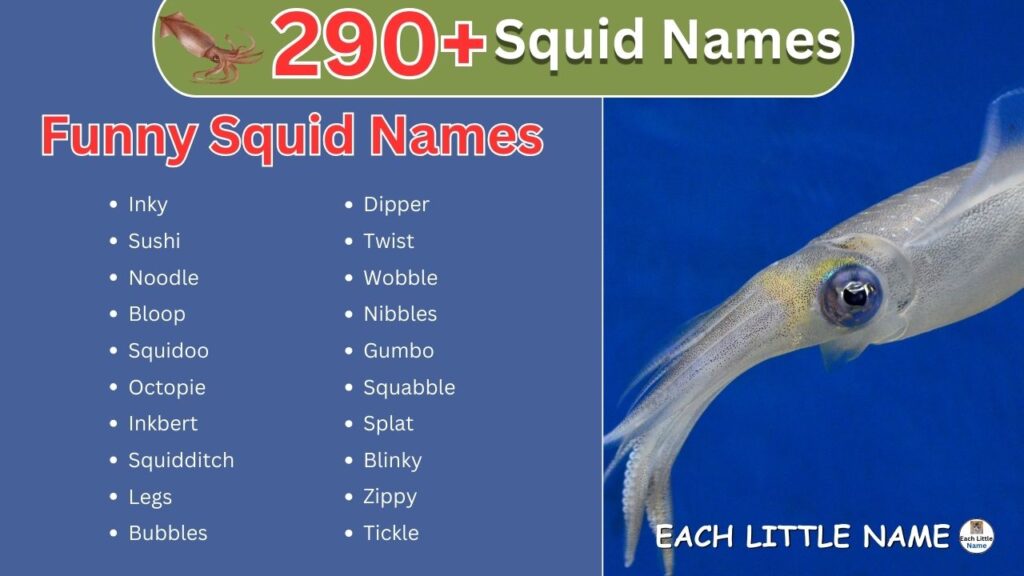 Squid Names