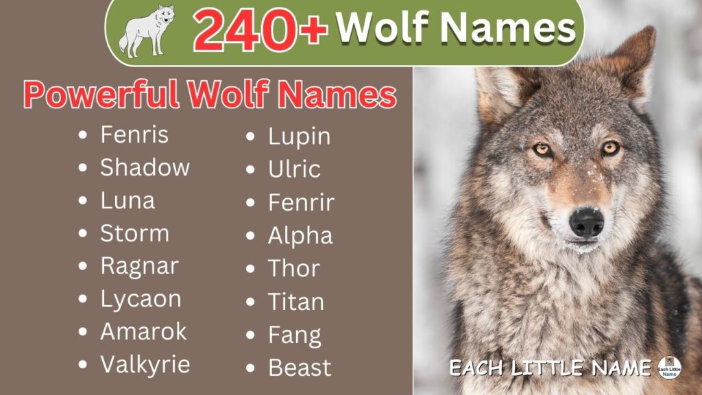 Wolf Names